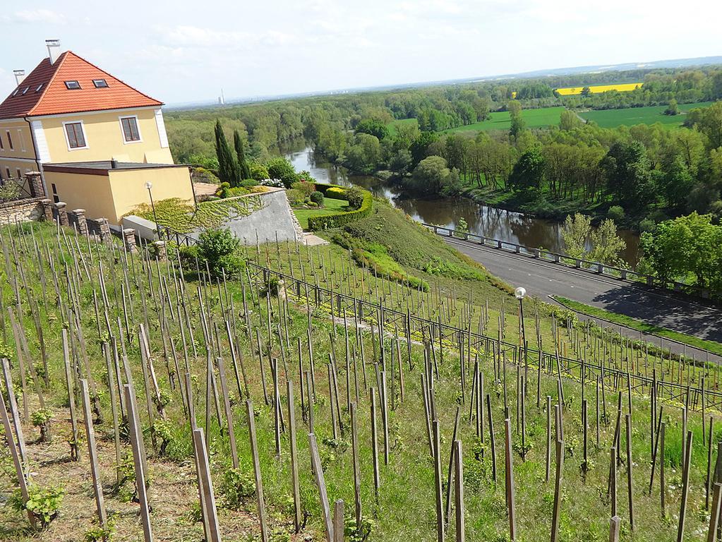 Ferienwohnung Dum V Podzamci Mělník Exterior foto
